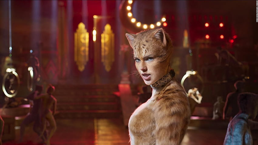 Taylor Swift is a feral cat in case you were wondering HD wallpaper