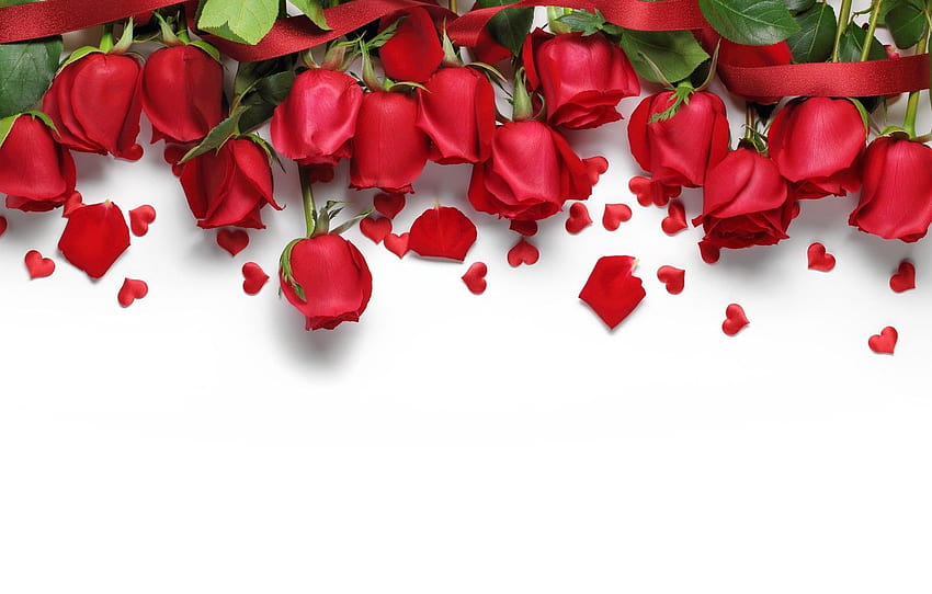 hearts, red, love, flowers, romantic, hearts, Valentine's Day, gift, roses, red roses , section праздники, roses are red HD wallpaper