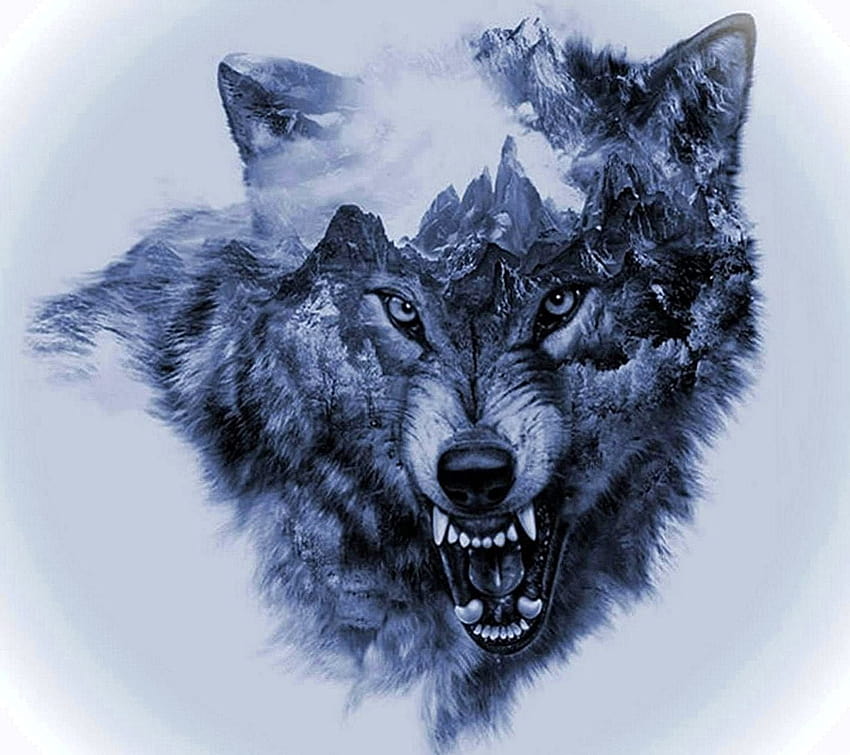 Lobo Perigo, lobo perigoso papel de parede HD