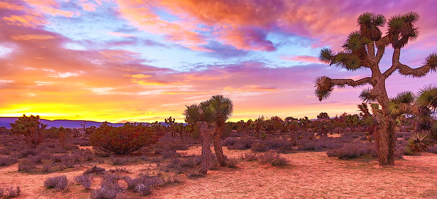 South West Desert, colorado desert ultra HD wallpaper