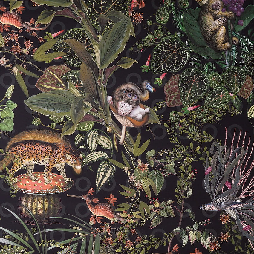 Moooi pays tribute to extinct animals with range of, species HD phone wallpaper