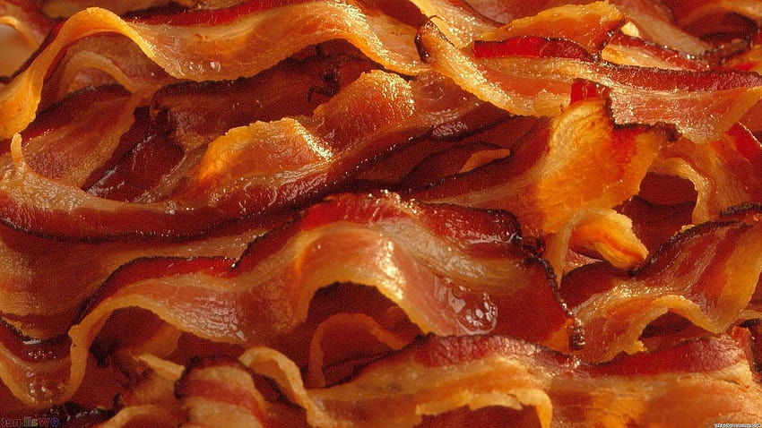 Growtopia, bacon HD wallpaper