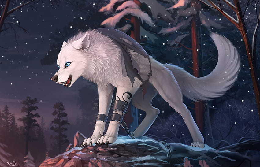 18486 Furry Wolf Data, anime black wolf HD wallpaper