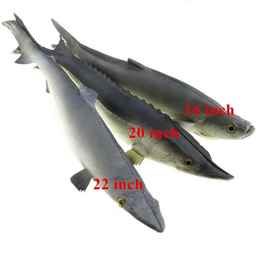 Gresorth 3 PCS Sea Creatures Fake Shark Chinese Sturgeon Fish Toy Model graphy Prop, culter fish HD phone wallpaper