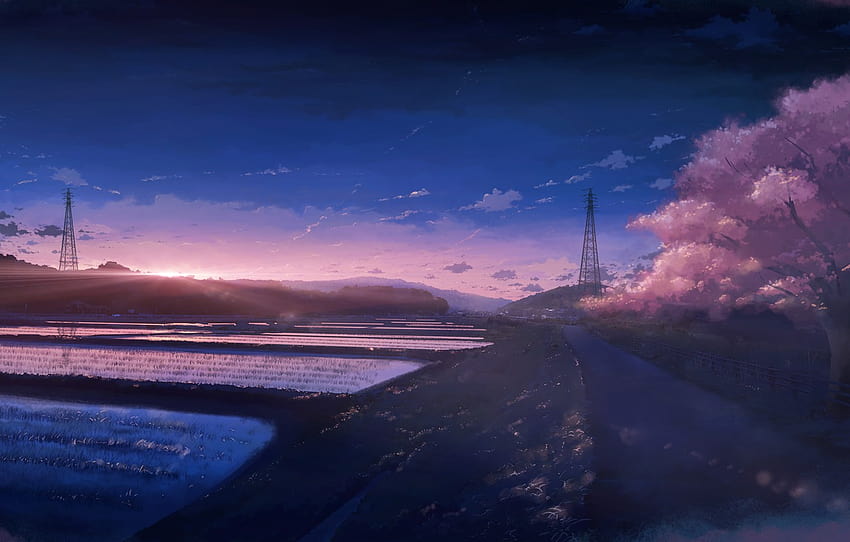 zachód słońca, wiosna, Sakura, pola ryżowe, sekcja арт, anime wiosenny zachód słońca Tapeta HD
