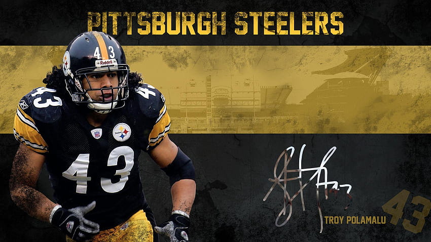 Pittsburgh Steelers Troy Polamalu and, steelers background HD wallpaper