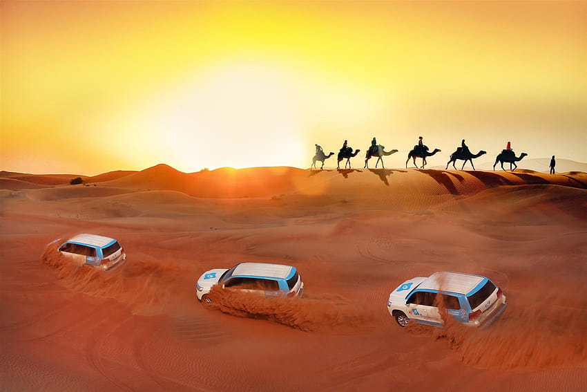 15 najlepszych pustynnych safari w Dubaju Tapeta HD