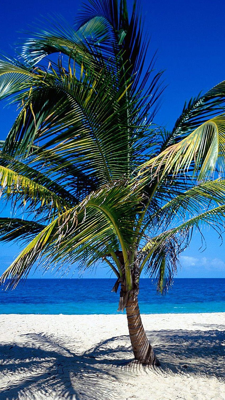 croix kami pulau perawan Galaxy S5, st croix wallpaper ponsel HD