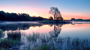 Lake in fog – Hình nền máy tính với phong cảnh hồ sương mù sẽ làm cho bạn thấy như đang lạc vào một thế giới cổ tích. Bức ảnh này sẽ mang lại cho bạn sự yên bình và thư giãn trong cuộc sống.