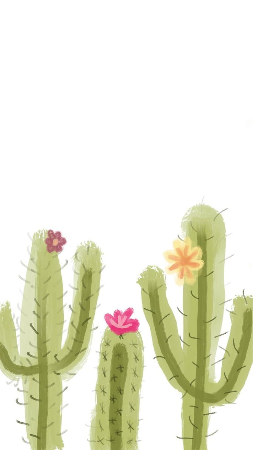 Cactus, rose gold succulent HD phone wallpaper