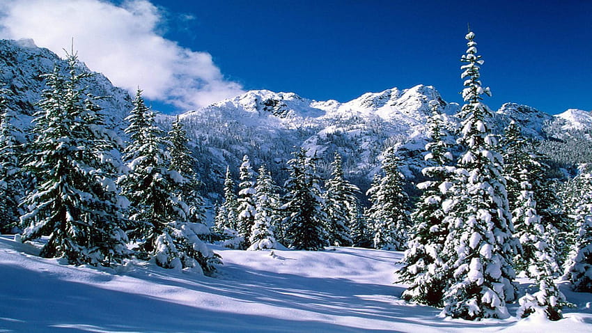 Snow Scenes Backgrounds, alpine winter HD wallpaper
