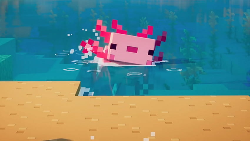 Minecraft: Axolotls HD wallpaper