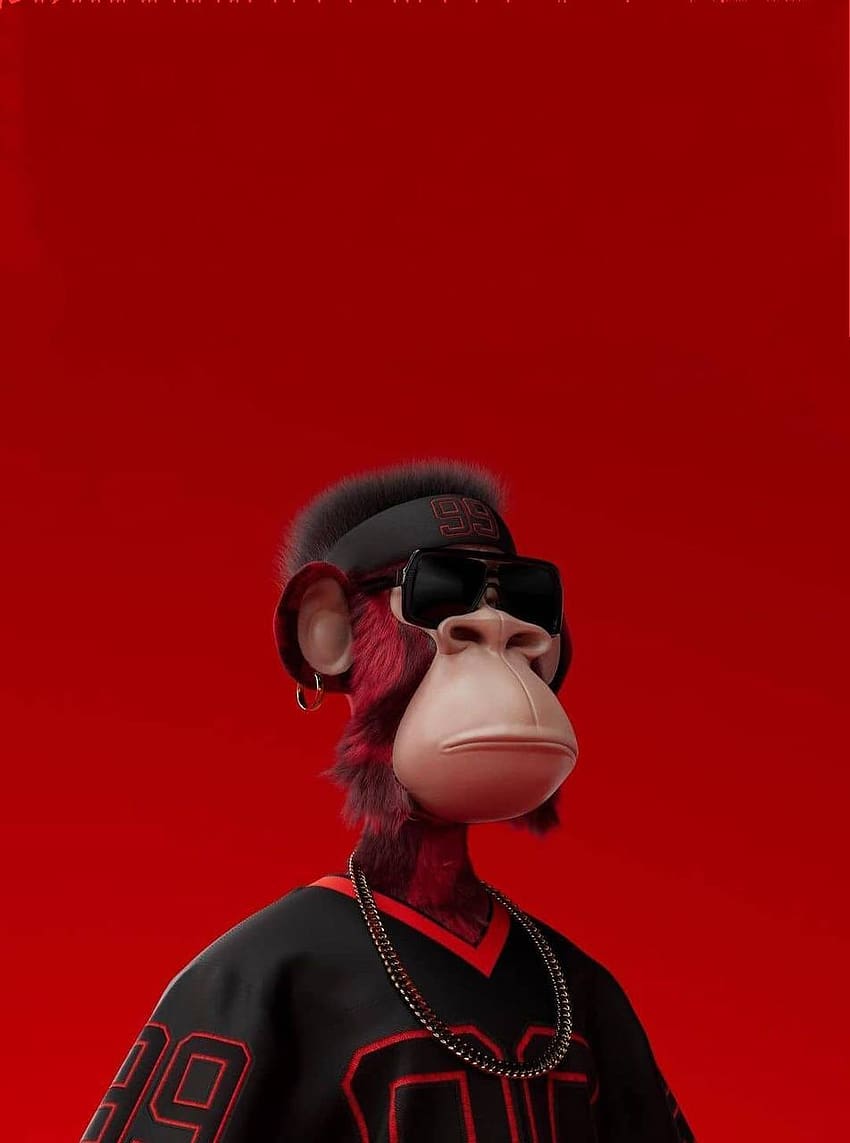 monyet, kacamata hitam wallpaper ponsel HD