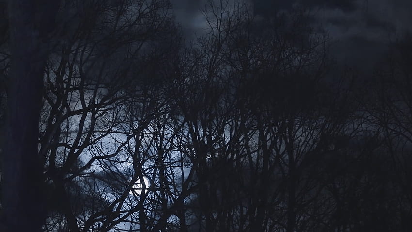 s de terror con maderas, árbol espeluznante y luna llena Stock Video, horror de fondo de pantalla