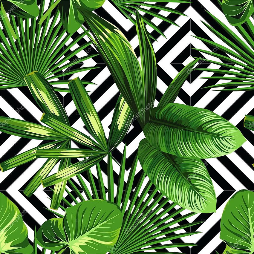 Palm Leaves Tree – Kargo HD phone wallpaper
