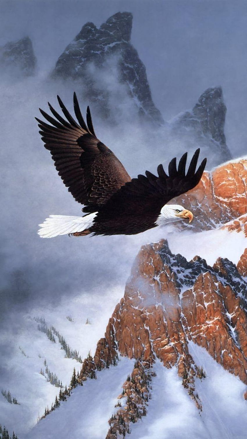 Top 76 Bald Eagle, the eagle HD phone wallpaper