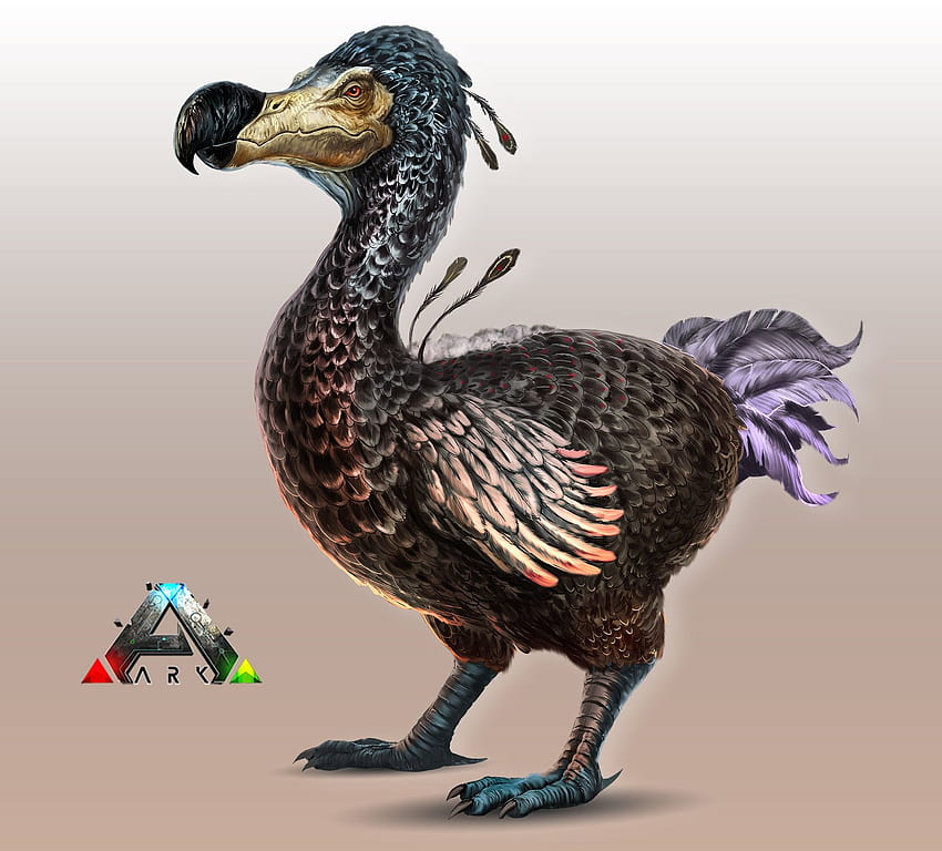 Ark, dodo bird HD wallpaper