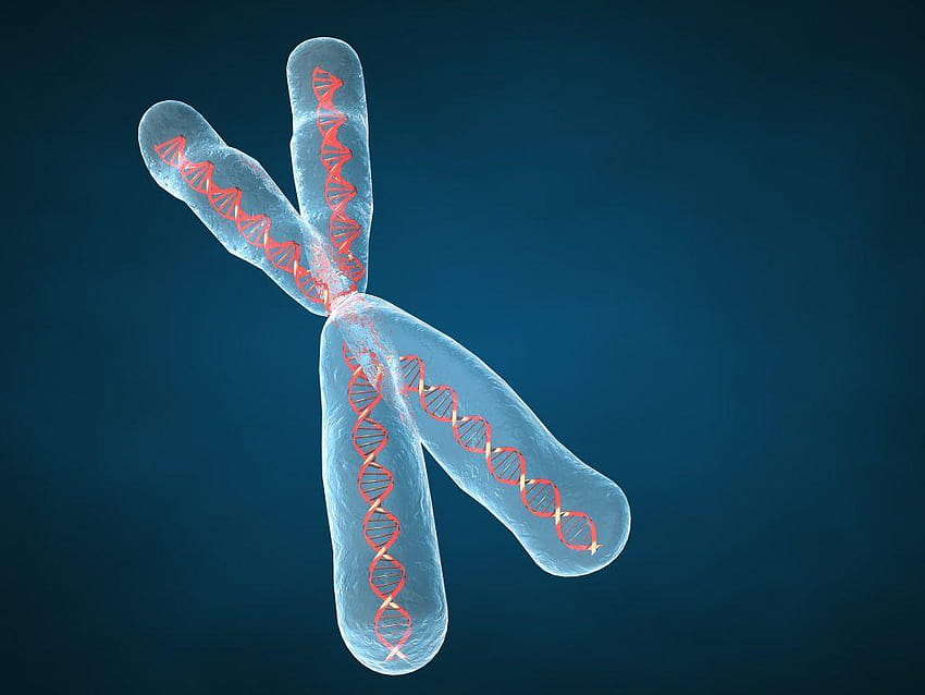 Chromosomen-Dna-Muster Genetisch 3d Psychedelisch Bei 3d HD-Hintergrundbild