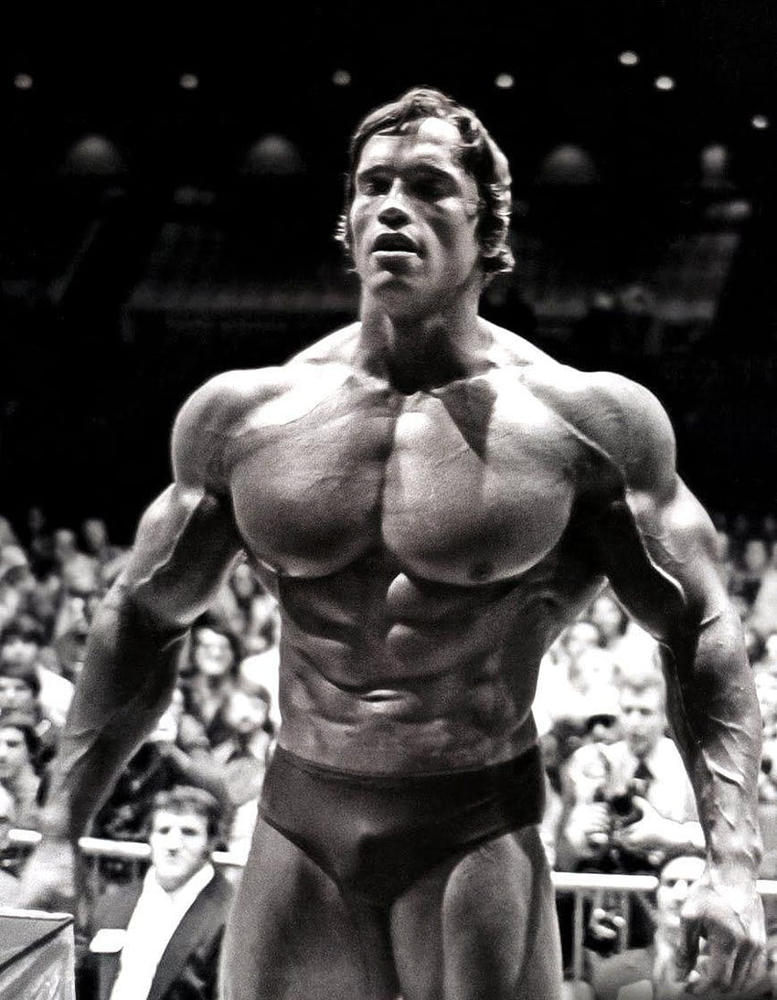 : Bodybuilding, Arnold Bodybuilding HD-Handy-Hintergrundbild