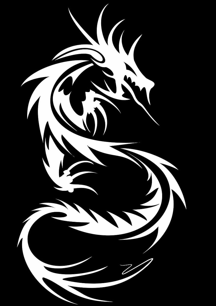 Black And White Dragon HD phone wallpaper