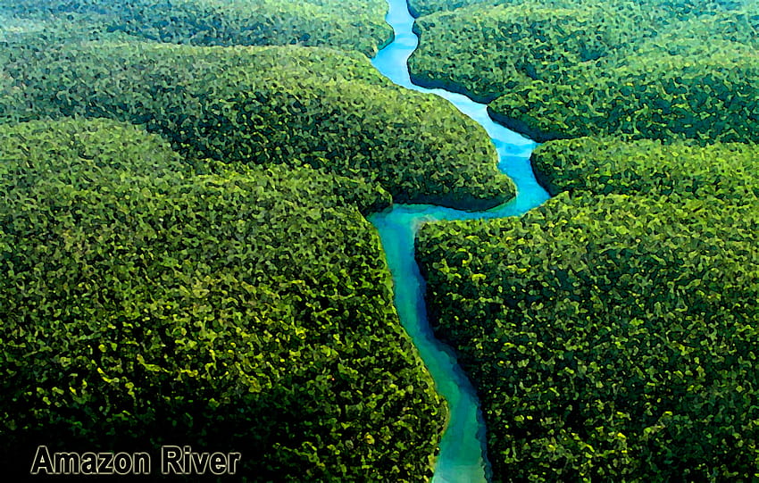 Peru Amazon River Trees HD wallpaper