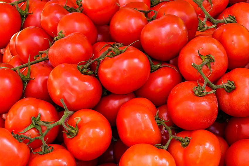 Pile of Red Tomatoes · Stock HD wallpaper
