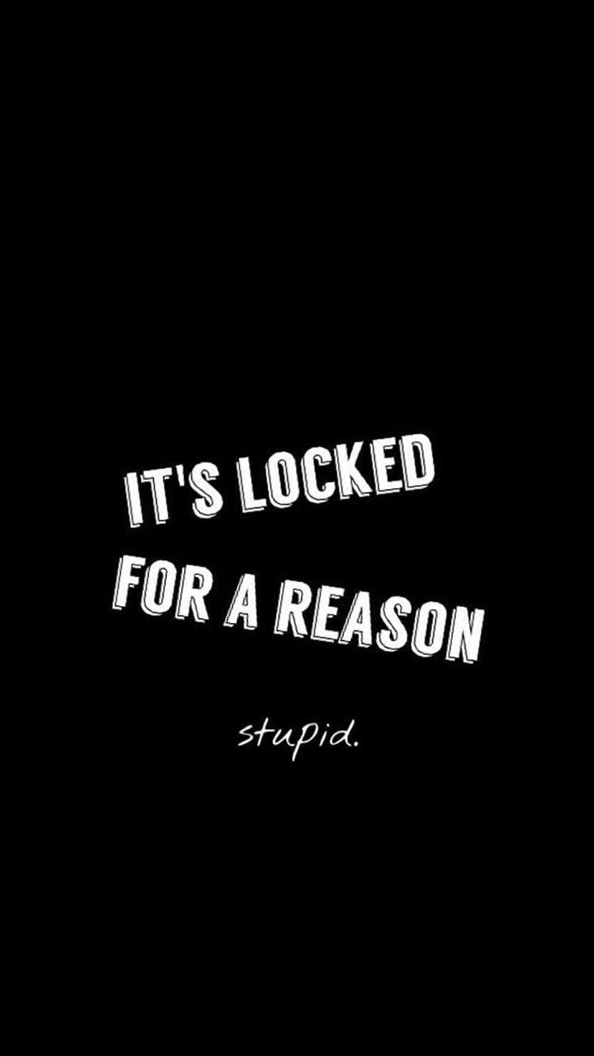 It's Locked For A Reason Stupid iPhone 6 HD phone wallpaper
