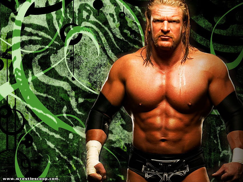 Very Sweet and Cute Animals WWE Wrestler Triple H [1024x768] for your , Mobile & Tablet, funny wwe HD wallpaper