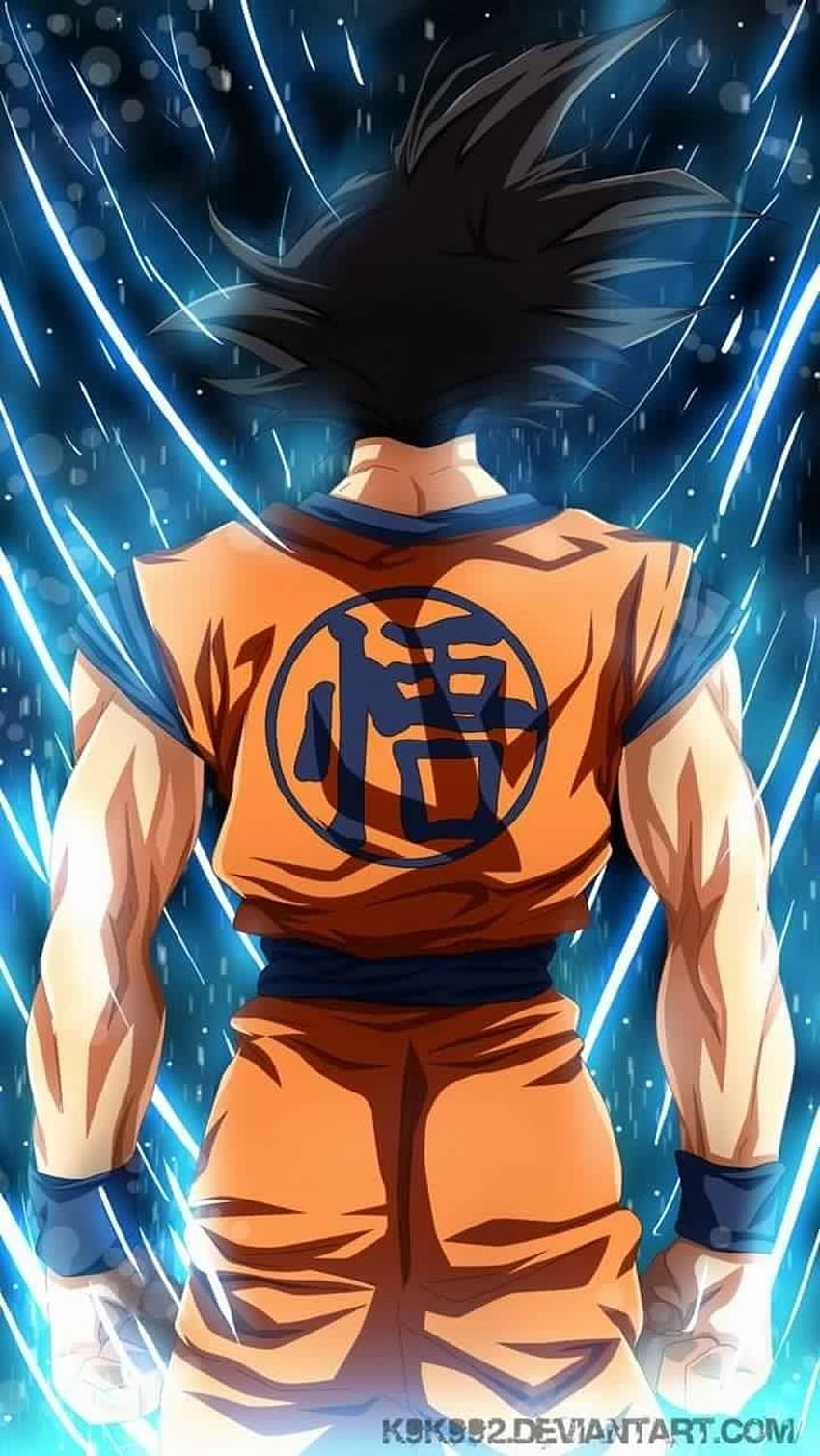 Dragon Ball Z Iphone posted by Christopher Peltier, dragon ball realistic iphone HD phone wallpaper