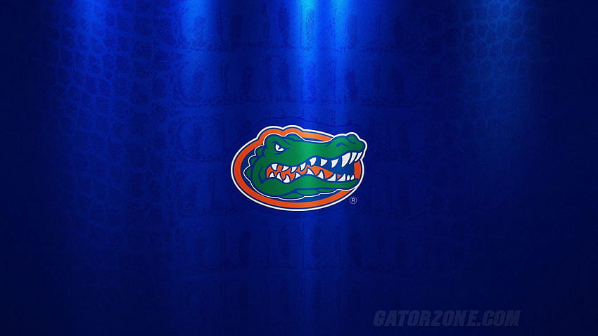 florida gators college football HD wallpaper