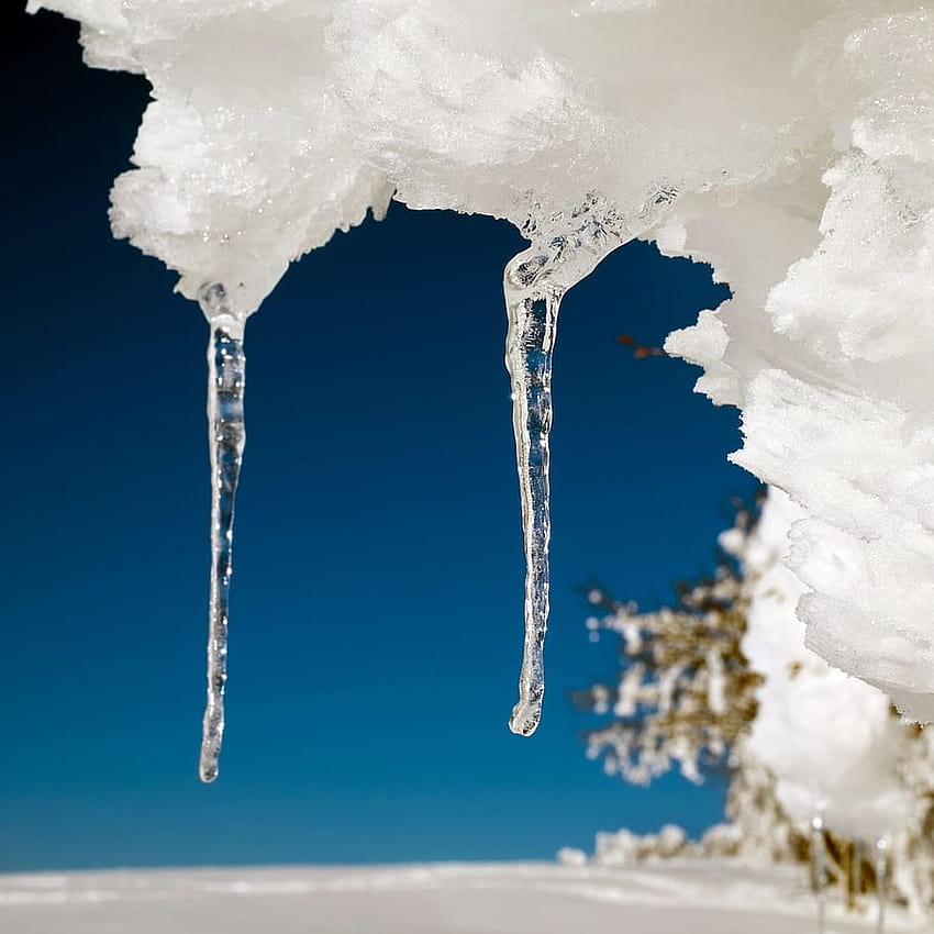 : es, es, tetesan, beku, sedingin es, dingin, musim dingin, kaca jendela bunga es beku wallpaper ponsel HD