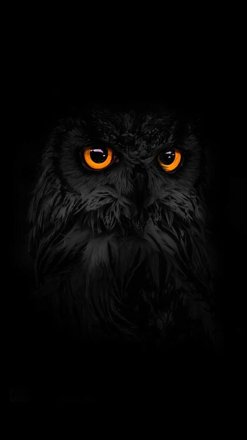 80 Phone Backgrounds, mighty owl HD phone wallpaper