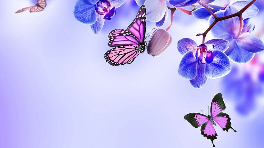 Purple Butterfly, пеперуден естетичен компютър HD тапет