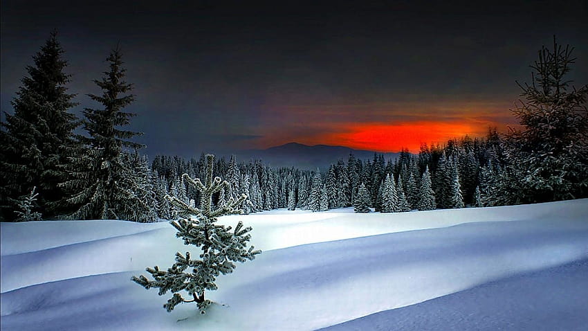 Winter wallpapers 1366x768 laptop desktop backgrounds