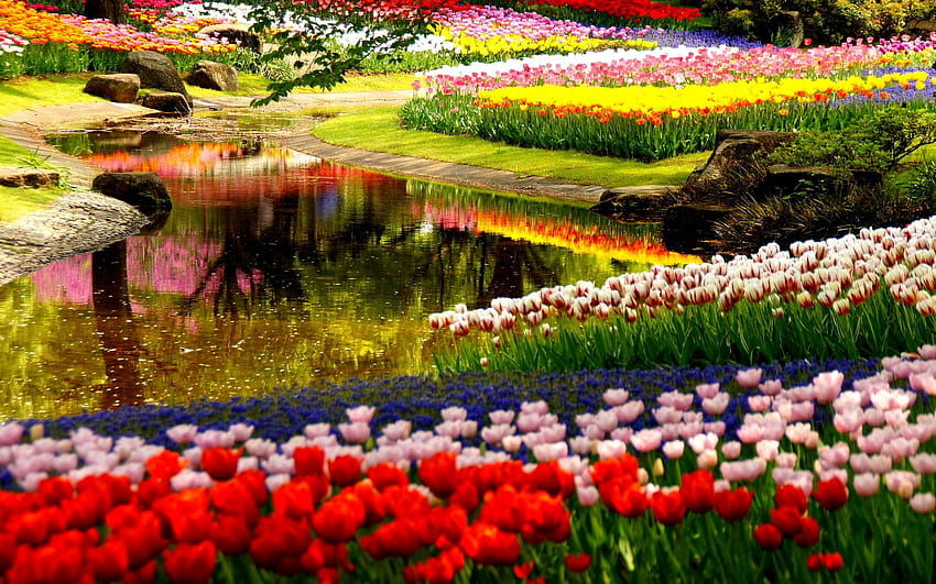 awesome spring garden home garden central park, central park spring HD wallpaper