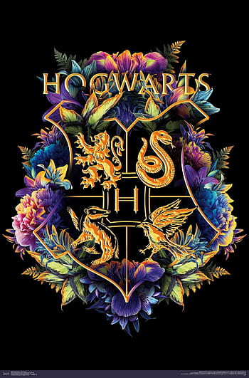Harry potter wizarding world HD wallpapers | Pxfuel