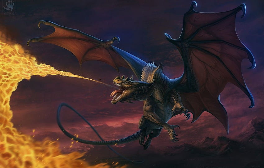 flight, flame, dragon, fire, fire breathing dragon HD wallpaper