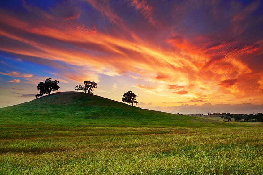 1920x1280 usa, california, sunset, spring, may, sky, clouds, field, grass, trees backgrounds, spring usa HD wallpaper