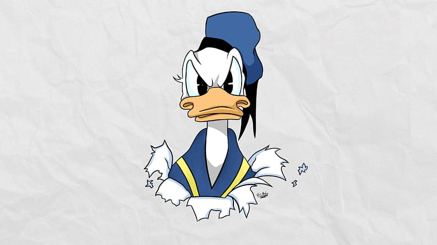 Kızgın Donald Duck, dagobert ördek HD duvar kağıdı