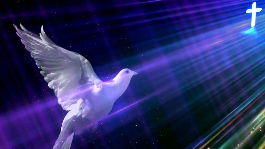Свети Дух във форма на тяло като гълъб, свети фонове HD тапет