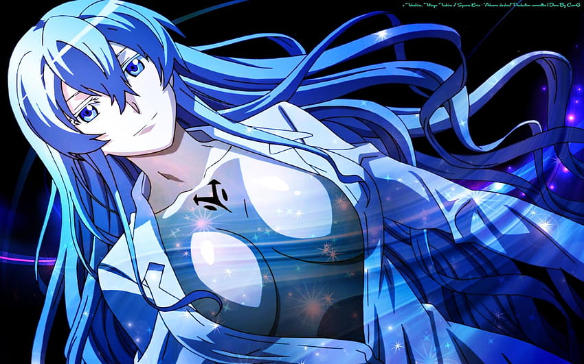 Esdeath Akame ga Kill blue hair 1080P wallpaper hdwallpaper desktop   Anime Female anime Cute anime wallpaper