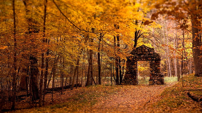 Musim gugur telah menghampirimu, kekaguman akan musim gugur Wallpaper HD