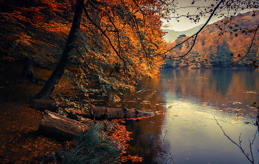 Autumn River Bank HD wallpaper