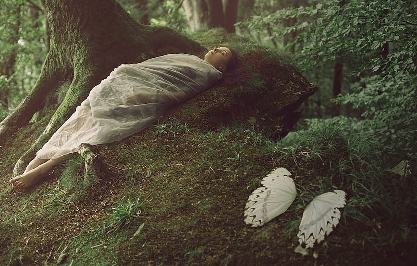 forest, girl, fantasy, wings, cocoon , section ситуации HD wallpaper