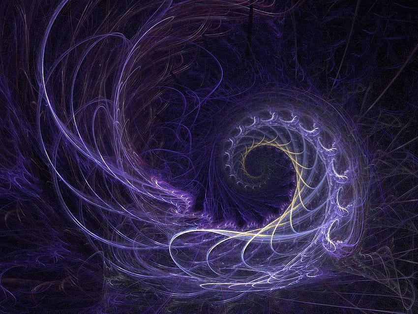 3 Spirals in Nature, fibonacci HD wallpaper