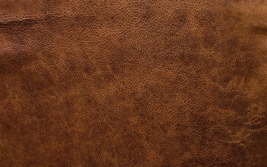 texture de cuir marron, macro, textures de cuir, arrière-plans marron, arrière-plans en cuir, à proximité Fond d'écran HD