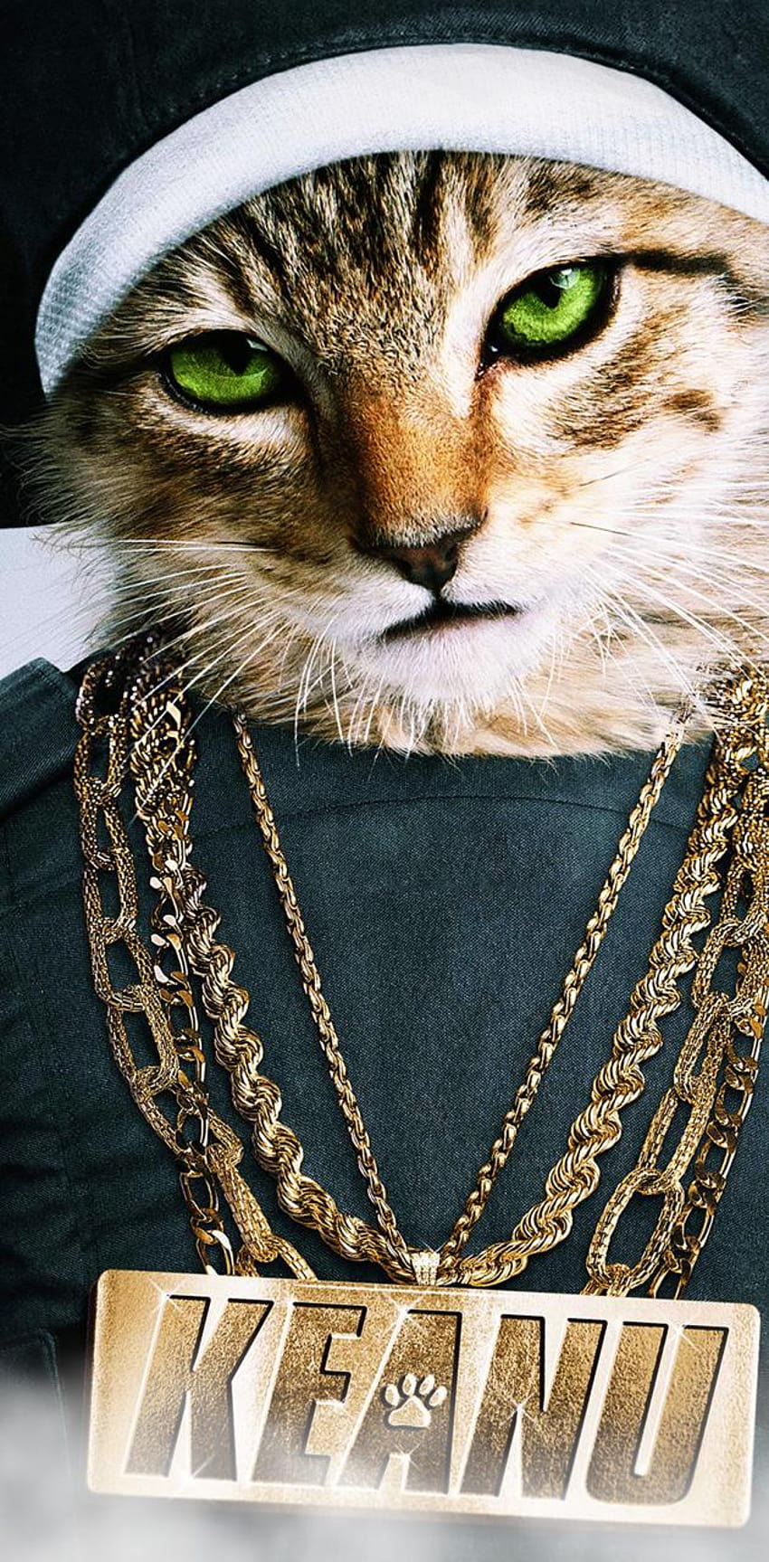 Swag cat by woowbrn123 HD phone wallpaper