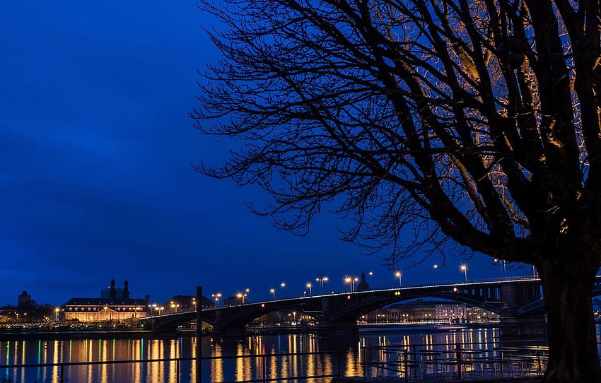 night, bridge, lights, river, Germany, Mainz for HD wallpaper