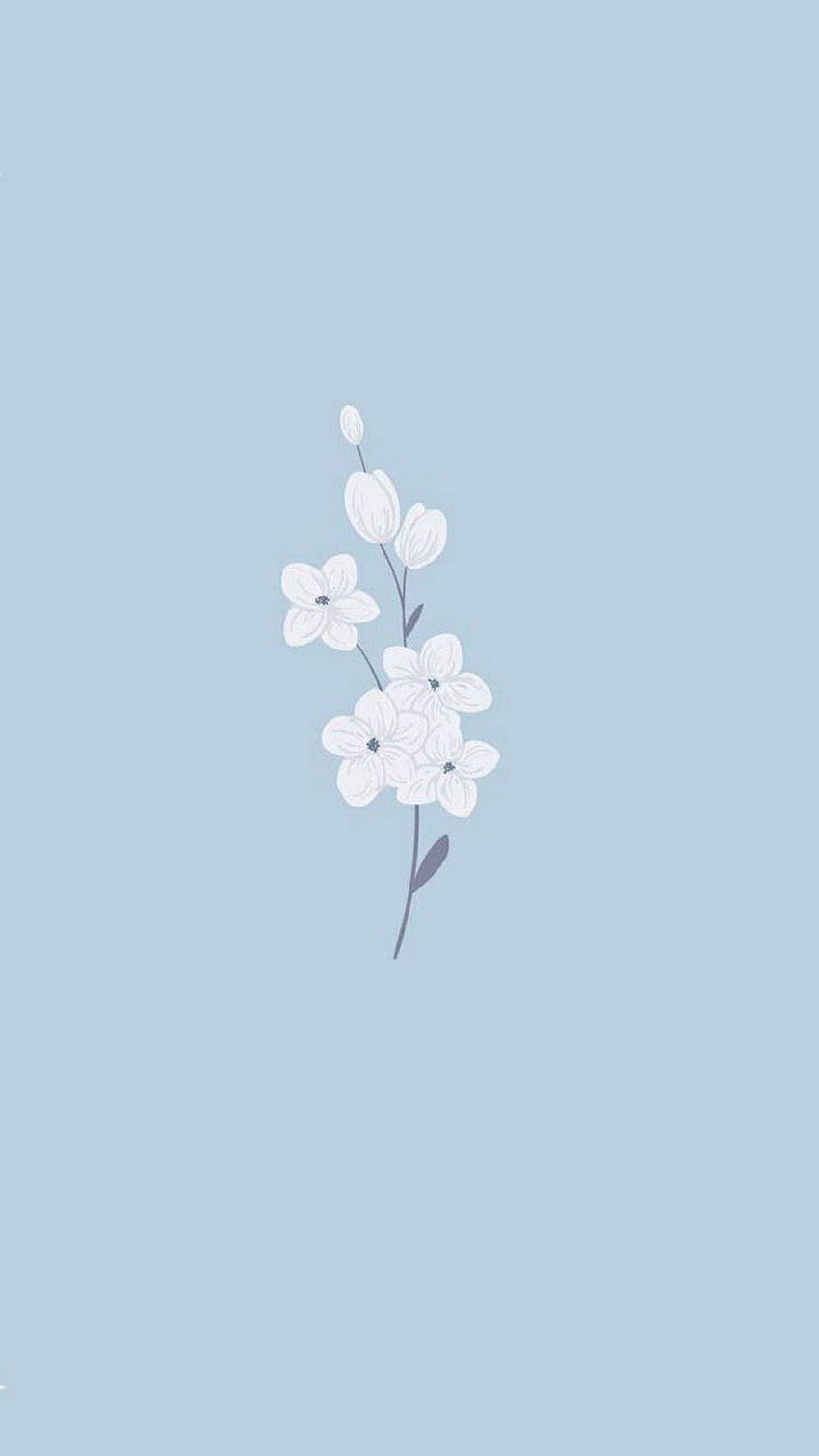 flor estética, linda primavera azul fondo de pantalla del teléfono