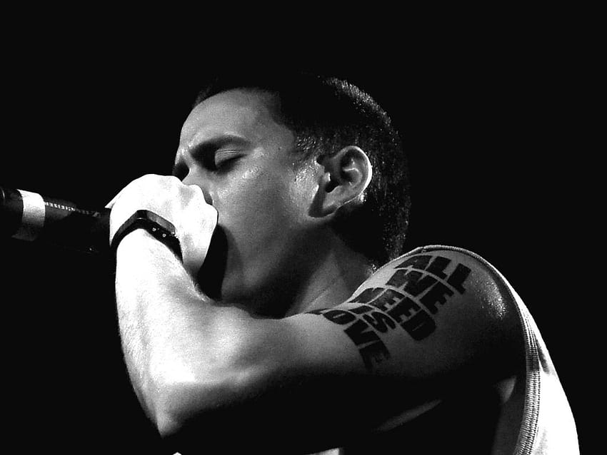 All we need is love, canserbero HD wallpaper